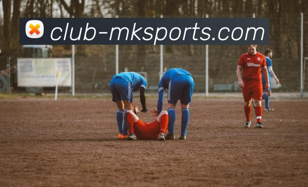 球赛投注服务体系