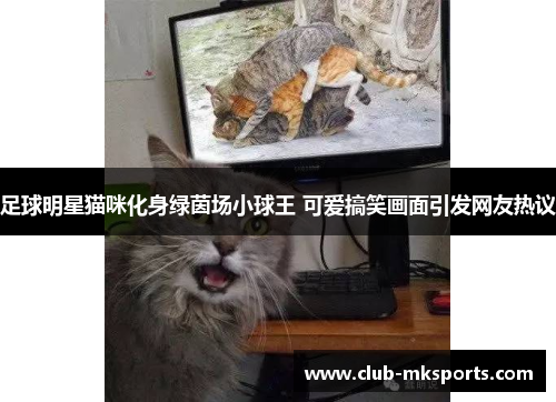 足球明星猫咪化身绿茵场小球王 可爱搞笑画面引发网友热议